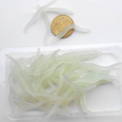 50 small eathworm.50 τεμ σκουλήκια από φώσφορο