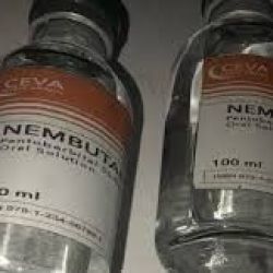 Nembutal online (pentobarbital sodium) Πωλούνται χάπια, υγρό